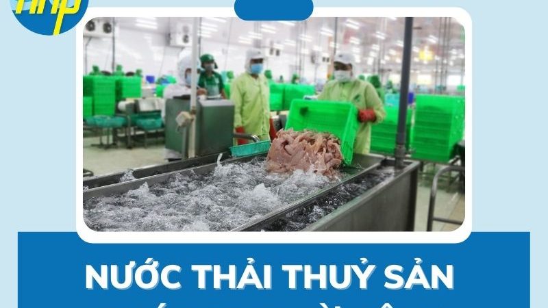 Tại sao cần phải xử lý nước thải thủy sản?