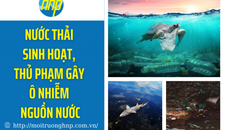 Nước thải sinh hoạt, thủ phạm gây ô nhiễm nguồn nước