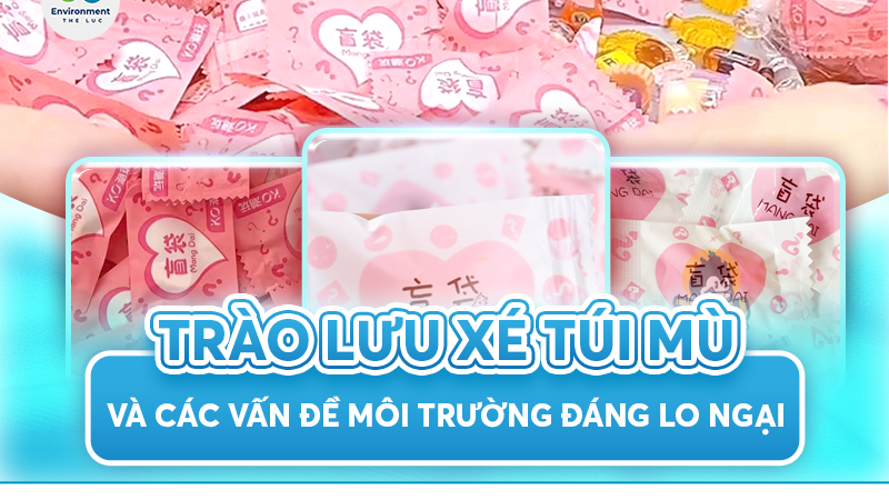 TRÀO LƯU XÉ TÚI MÙ VÀ CÁC VẤN ĐỀ MÔI TRƯỜNG ĐÁNG LO NGẠI