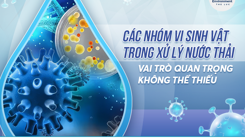 CÁC NHÓM VI SINH VẬT TRONG XỬ LÝ NƯỚC THẢI: VAI TRÒ QUAN TRỌNG KHÔNG THỂ THIẾU