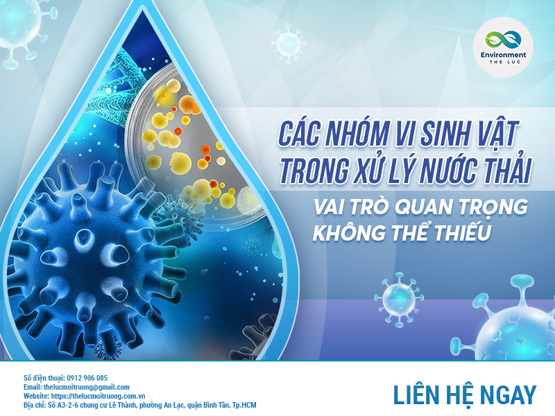 CÁC NHÓM VI SINH VẬT TRONG XỬ LÝ NƯỚC THẢI: VAI TRÒ QUAN TRỌNG KHÔNG THỂ THIẾU