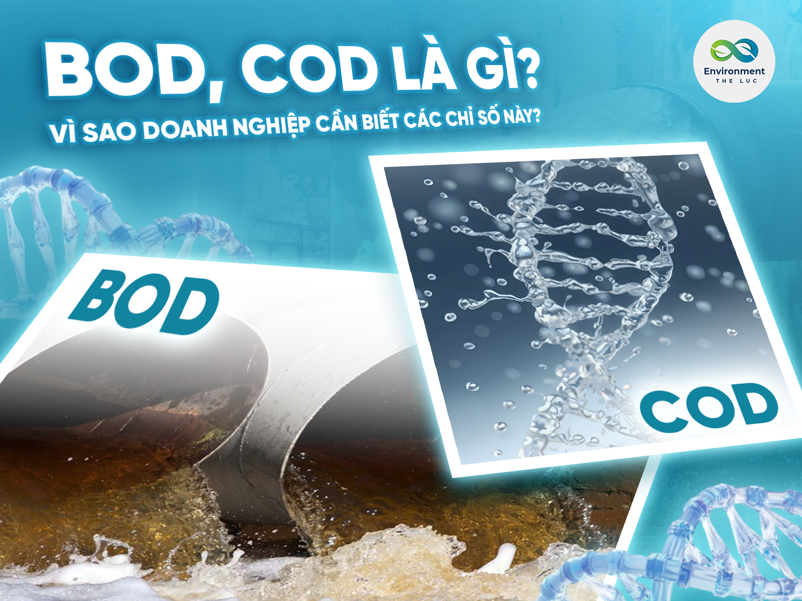 BOD, COD là gì? Vì sao doanh nghiệp cần biết các chỉ số này?